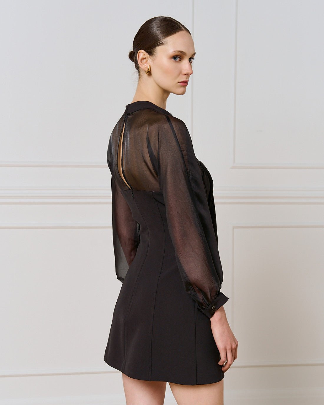 ACCESS Dress with sheer details and buttons